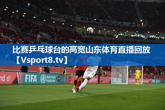 比赛乒乓球台的高宽山东体育直播回放