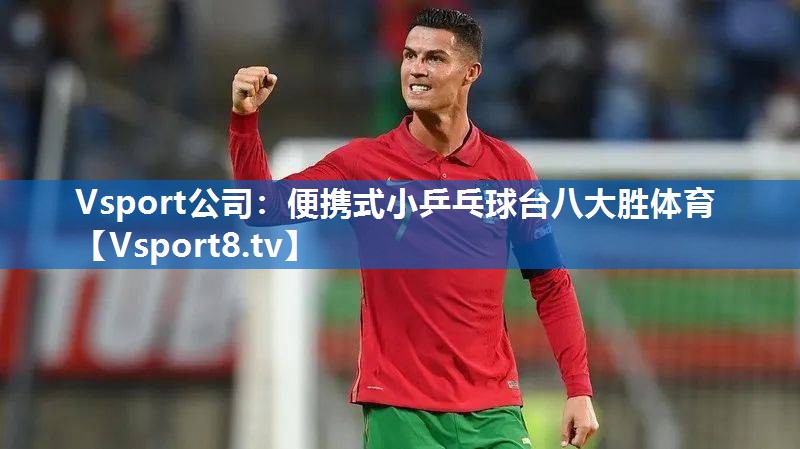 Vsport公司：便携式小乒乓球台八大胜体育