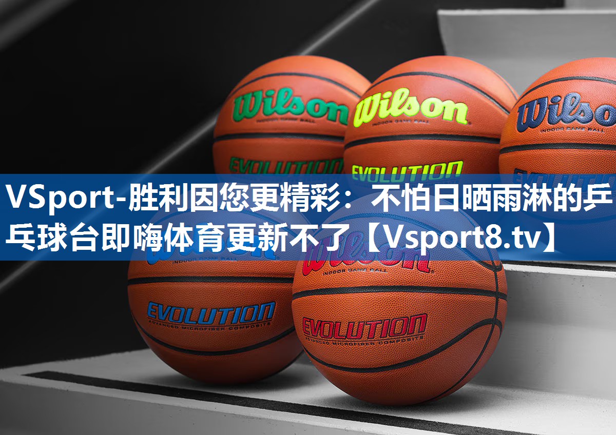 VSport-胜利因您更精彩：不怕日晒雨淋的乒乓球台即嗨体育更新不了