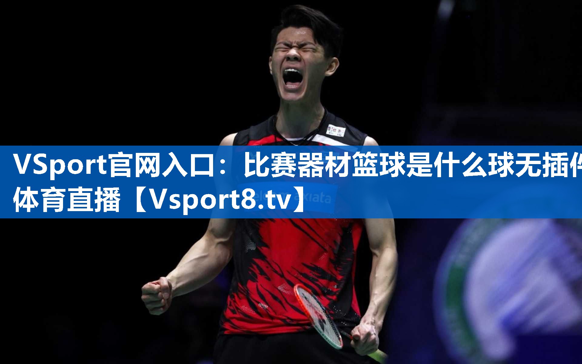 VSport官网入口：比赛器材篮球是什么球无插件体育直播