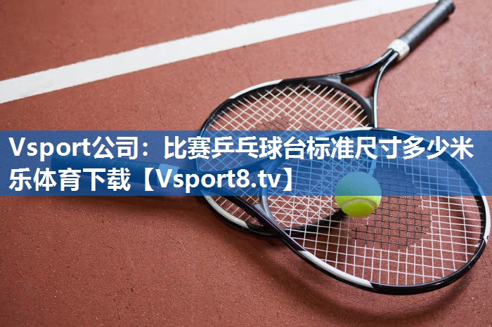 Vsport公司：比赛乒乓球台标准尺寸多少米乐体育下载