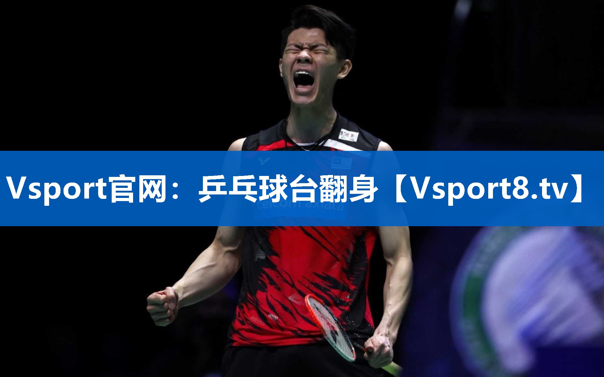 Vsport官网：乒乓球台翻身