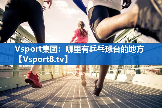 Vsport集团：哪里有乒乓球台的地方