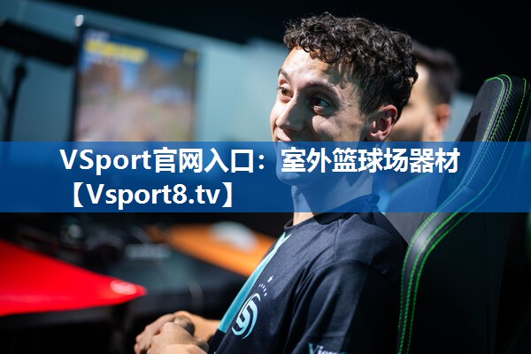 <strong>VSport官网入口：室外篮球场器材</strong>