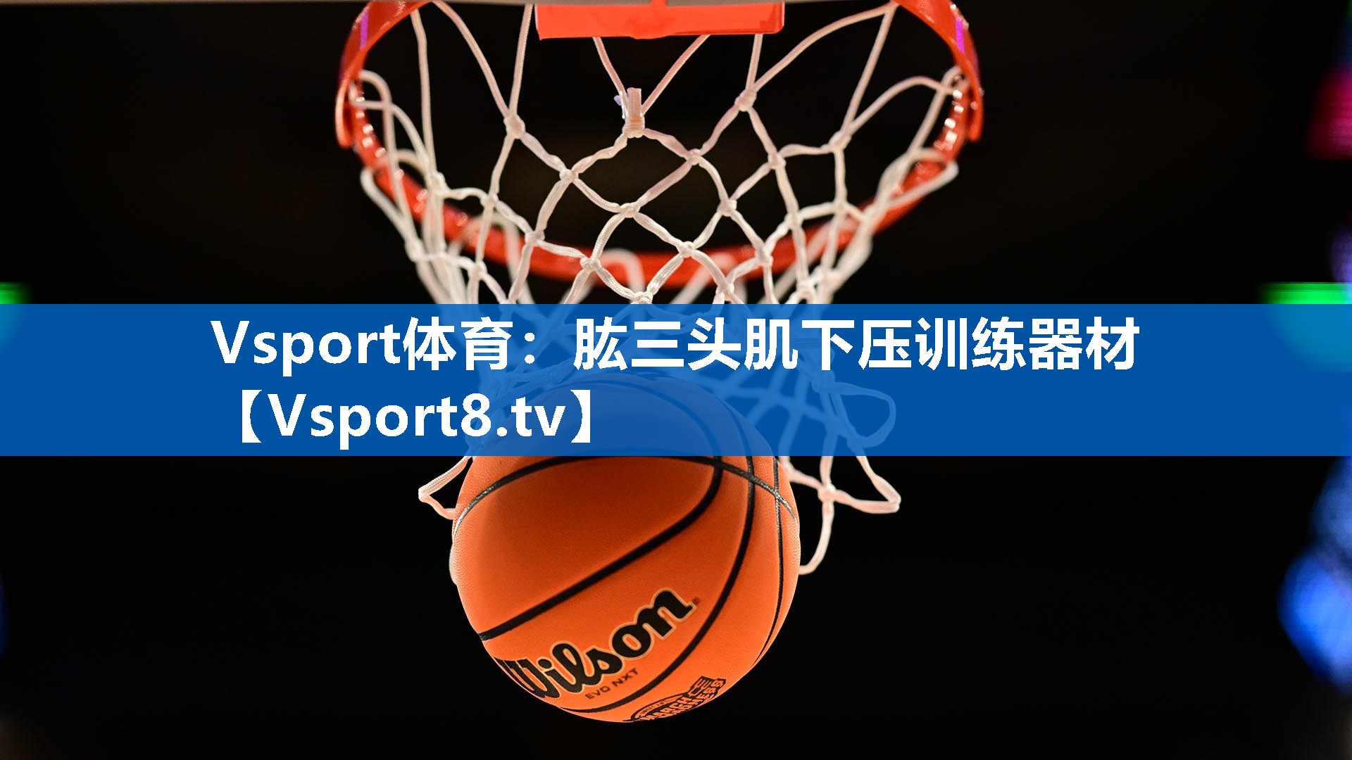 肱三头肌下压训练器材