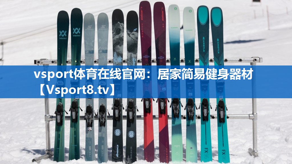 居家简易健身器材